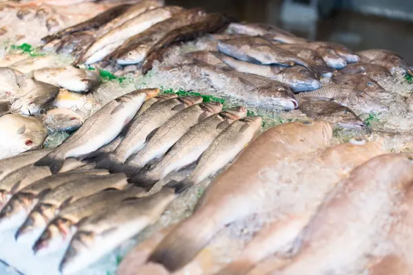 138 Fish Market