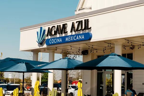 Agave Azul Windermere