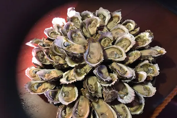 AJ's Seafood & Oyster Bar