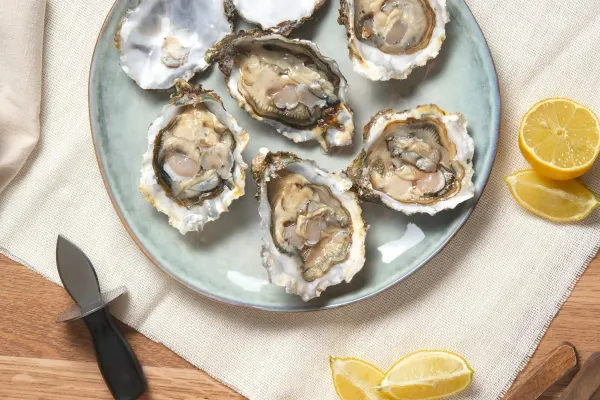 Albany Ale and Oyster