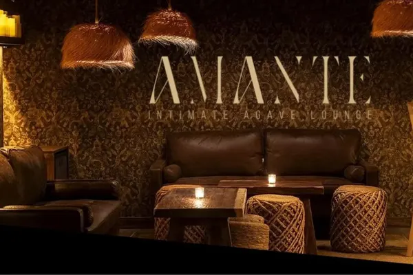 Amante Miami