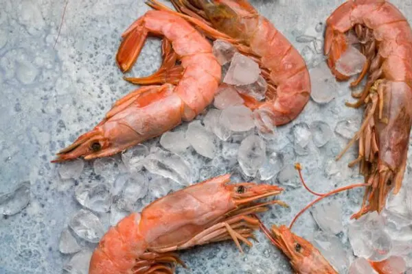 Aqua Seafood, Steaks & Raw Bar