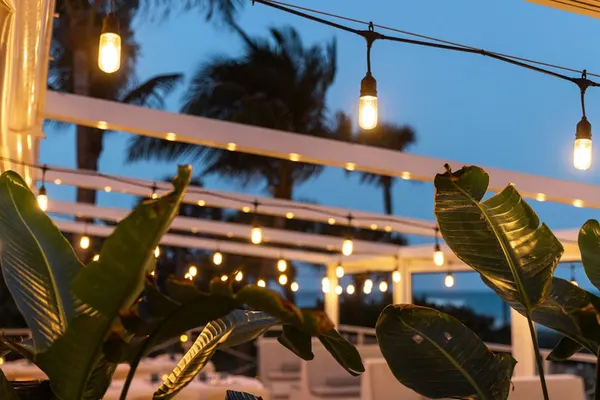 Aquatica Pool & Beach Bar