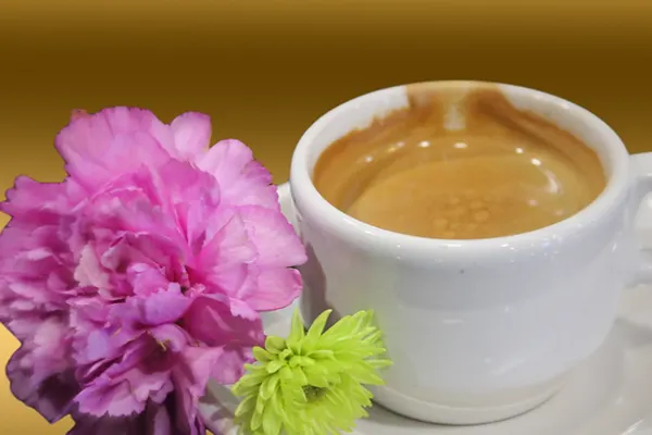 Babalu's Cuban Café