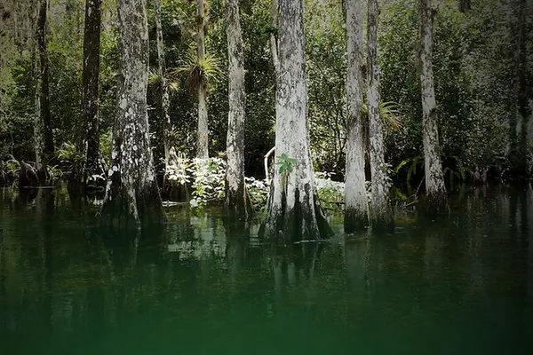 Big Cypress Distillery