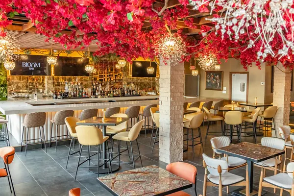 Bloom Bar