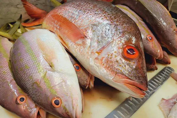 Brothers Fish House