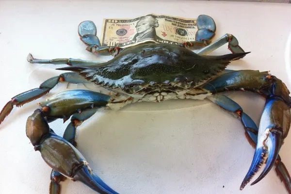 Bubba's Crab & Seafood
