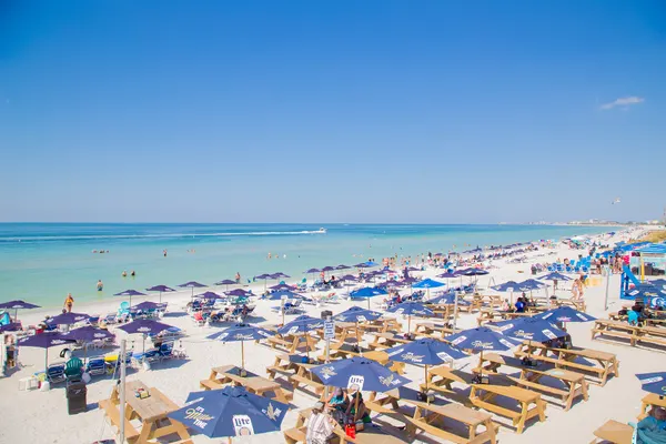 Caddy's Madeira Beach