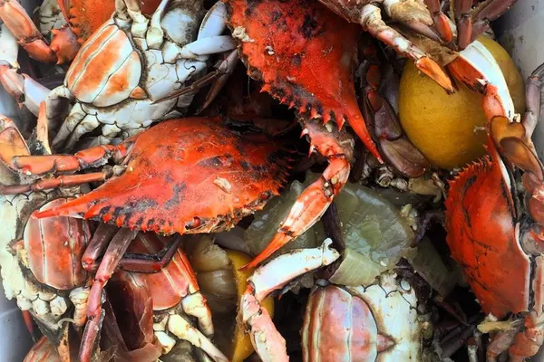 CRAZY CRAB