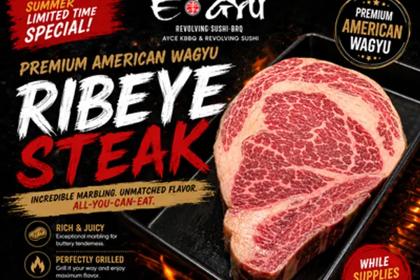 E-Gyu All You Can Eat Revolving Sushi & Korean BBQ - Gainesville