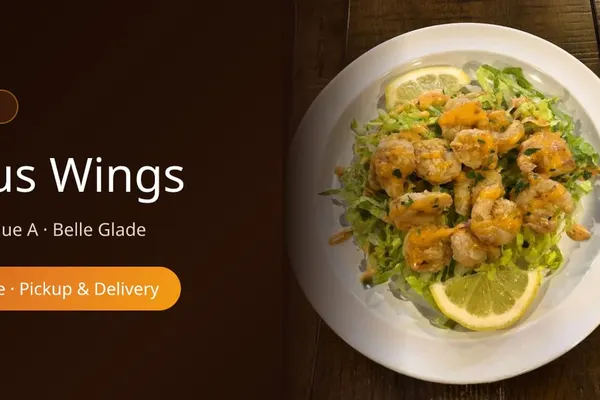 Faimus Wings