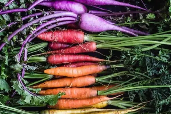 Fit Fresh Foodie