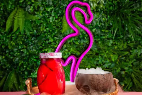 Flamingoz | A Taste Of Miami