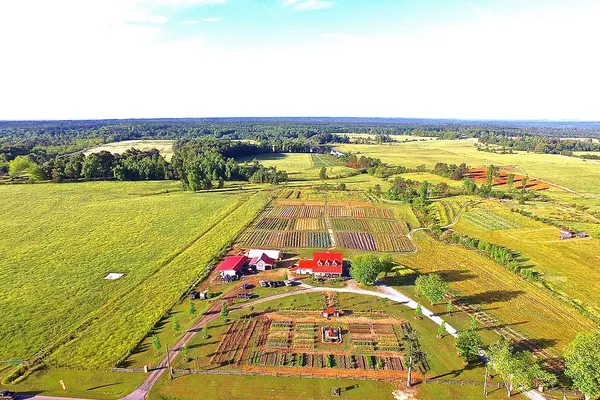 Honeywood Farms