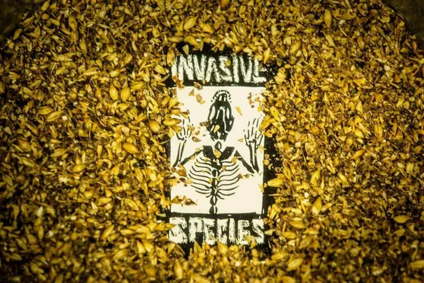 Invasive Species Brewing + Distilling