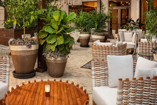 Isabelle's Coconut Grove