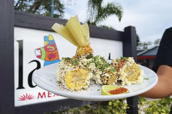 La Fiesta NSB