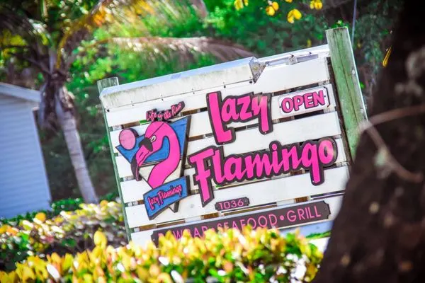 Lazy Flamingo