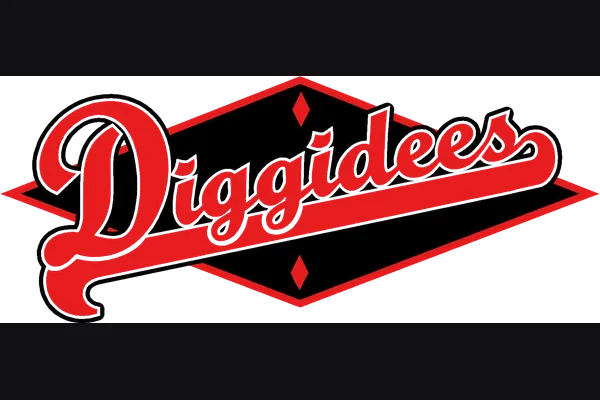 Diggidees