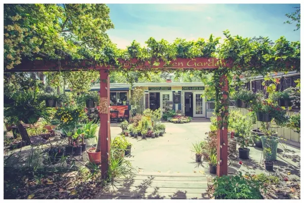 Lotus Cafe & Juice Bar At Zen Garden