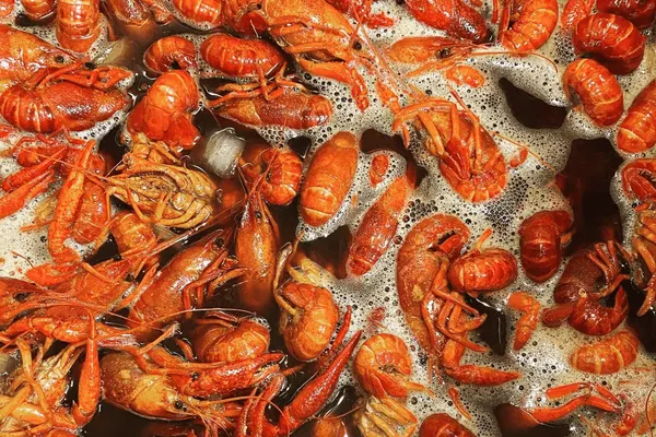 Louisiana Shack