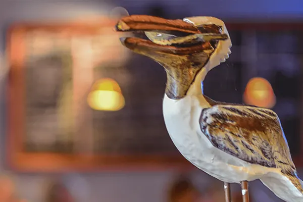 Lucky Pelican