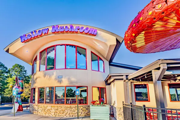 Mellow Mushroom Evans