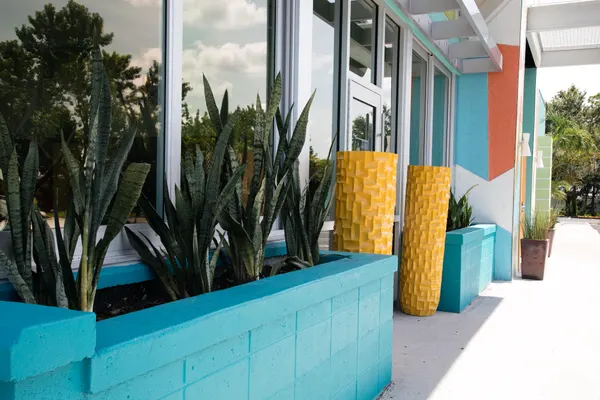 Mellow Mushroom Sarasota