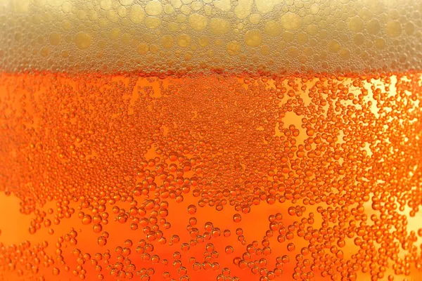 Melton's App & Tap