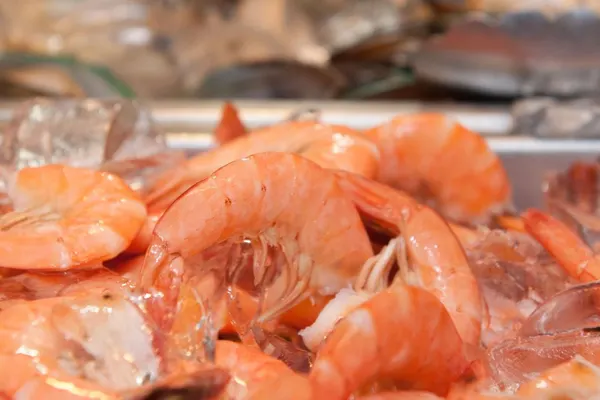 Ocean Buffet