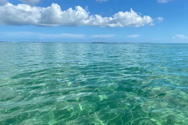 Paradise Seafood Key West