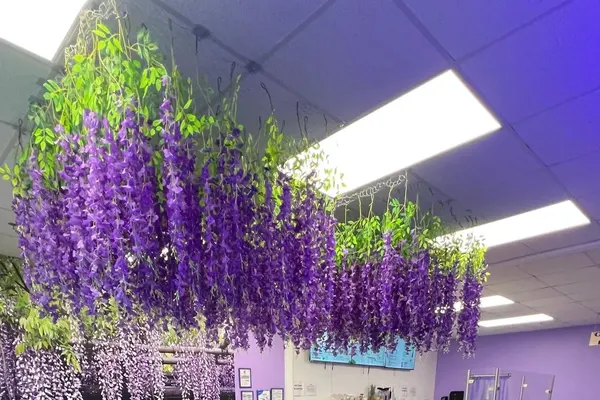Purple Garden Health Bar