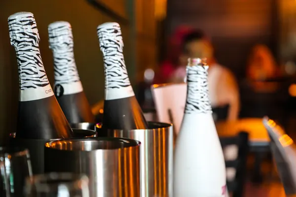 Rebel Wine Bar