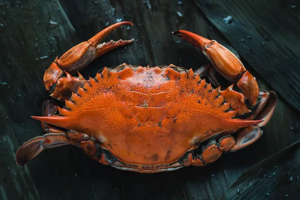 Red Claw