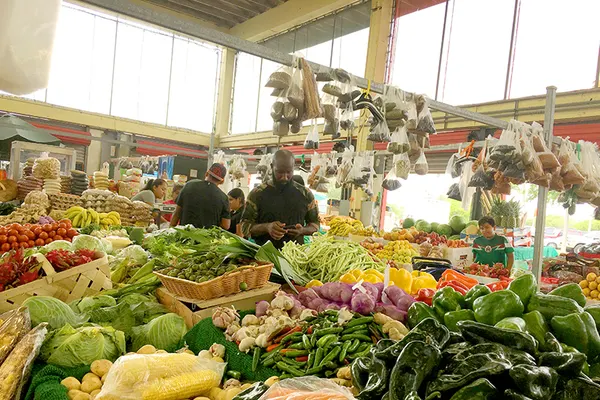 Redland Market Village
