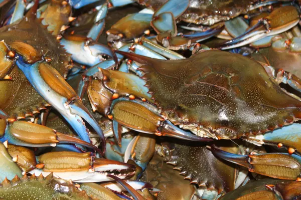 Riggins Crabhouse