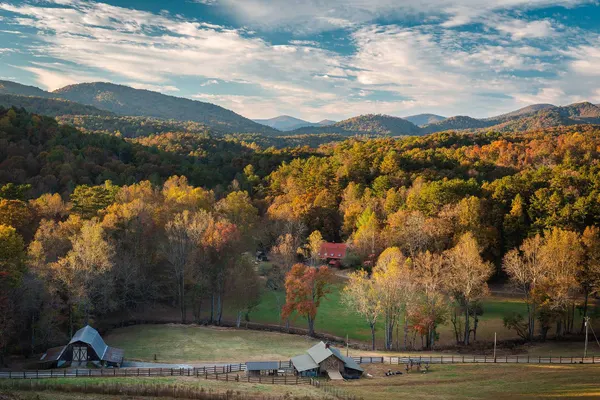 Roo Mountain Vineyards and Bistro - 21+ ONLY