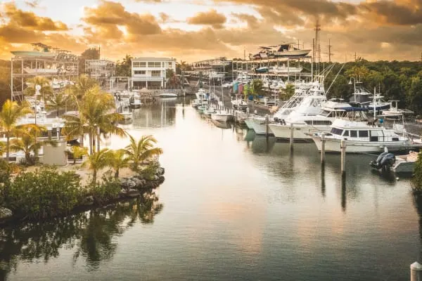 Safe Harbor Islamorada