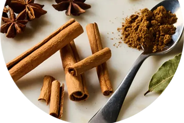 Sankranti Indian Kitchen
