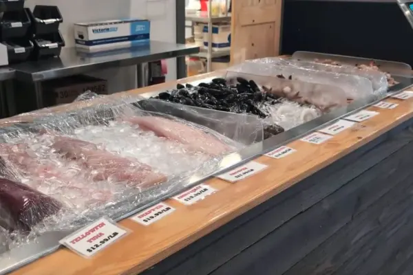 STEWBY'S Seafood Shanty