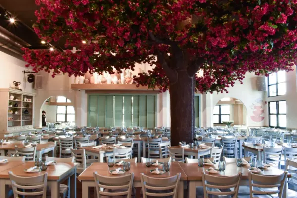 Taverna Opa Orlando
