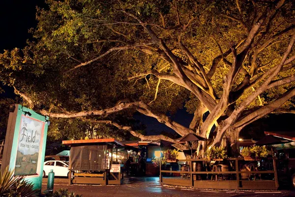 The Field Irish Pub & Eatery