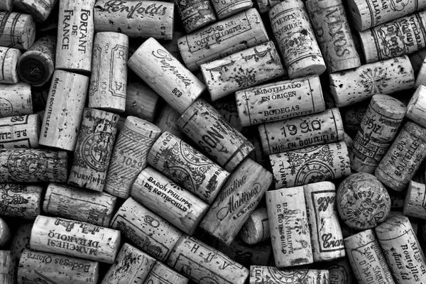 The Fountainhead Wine & Beer Bar