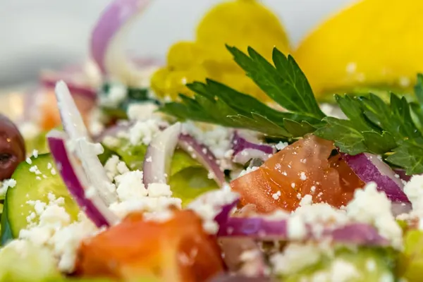 The Great Greek Mediterranean Grill - Oakland Park, FL