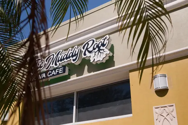 The Muddy Root Kava Cafe