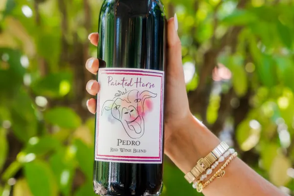 The Painted Horse Winery & Vineyards