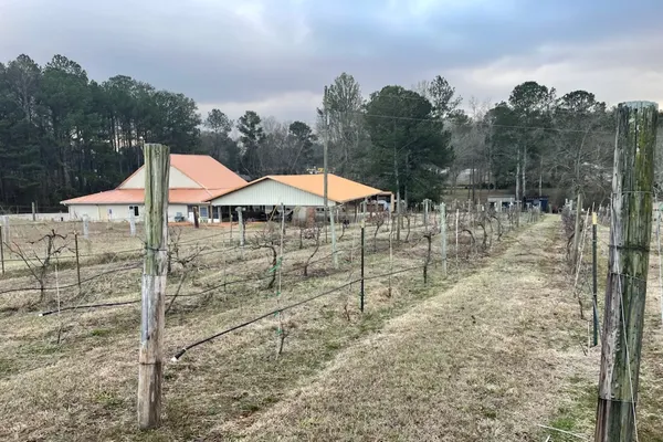 The Vineyard at Hominy Creek
