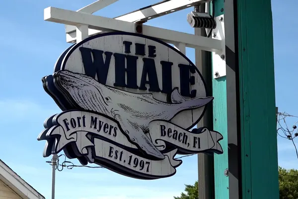 The Whale