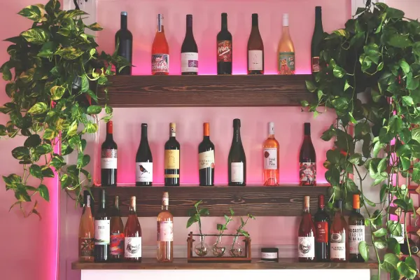 The Wine House: Wine Bar & Kitchen